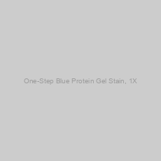 Image of One-Step Blue Protein Gel Stain, 1X